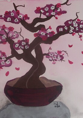 Kirschbaum Bonsai Blühender Kirschbaum als Bonsai