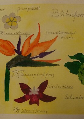 Blütenformen Zeichnung verschiedener Blütenformen mit Beschriftungen, ros, rote, orange gelbe und weiße Blüten vor gelbem Hintergrund