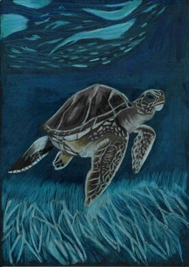 Ein gemaltes Bild von einer Meeresschildkr&ouml;te, die im Meer &uuml;ber ein Seegras-Feld schwimmt. Gemalt von der K&uuml;nstlerin Leonie Thanovat.